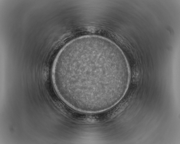 X0000113070656200909250930