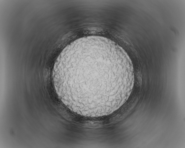 X0000113070657200909250930