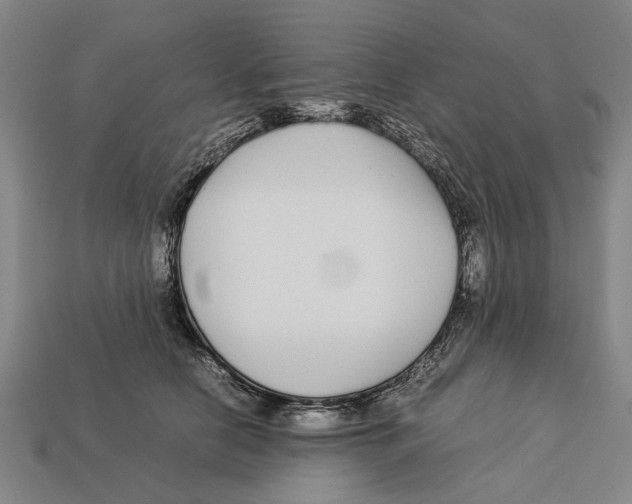 X0000113070658200909250930