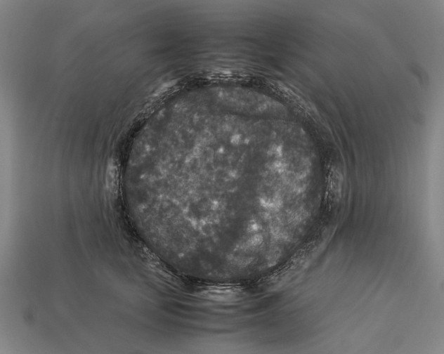 X0000113070659200909250930