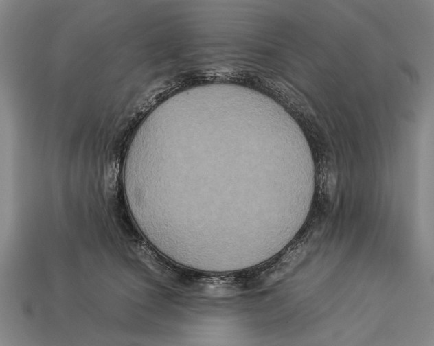 X0000113070660200909250930