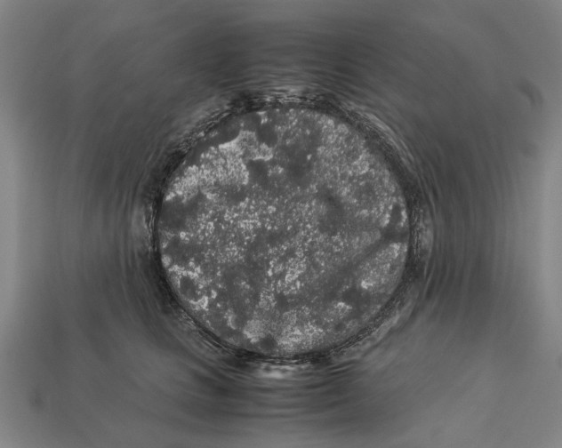 X0000113070661200909250930