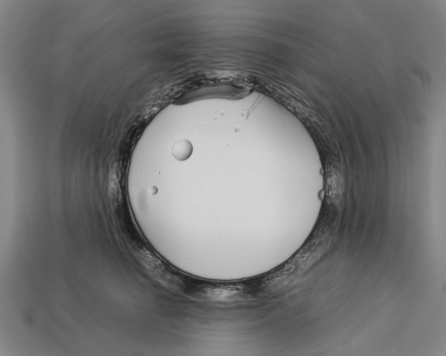 X0000113070662200909250930