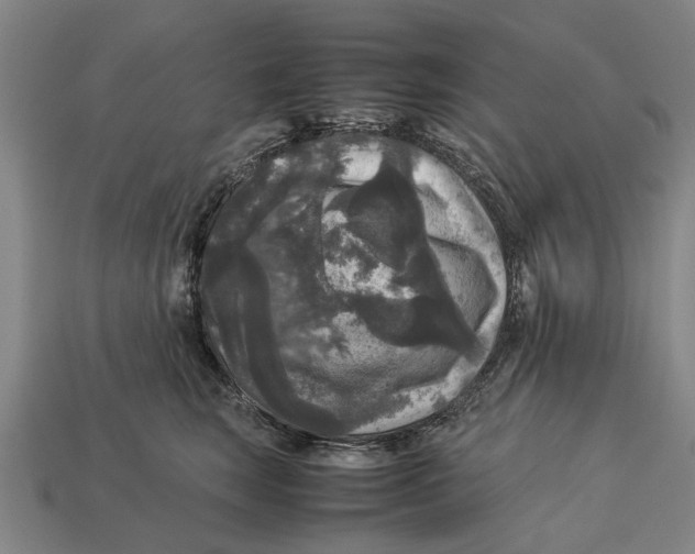 X0000113070663200909250930