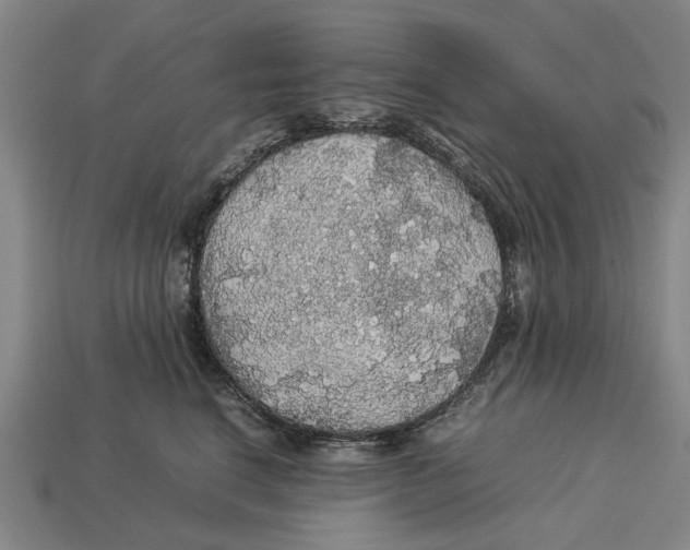 X0000113070664200909250930