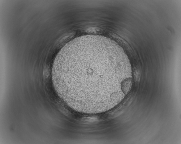 X0000113070665200909250930