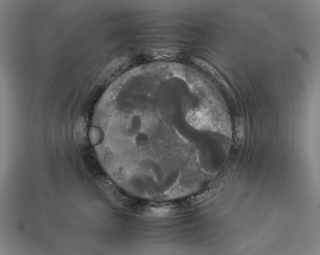 X0000113070667200909250930