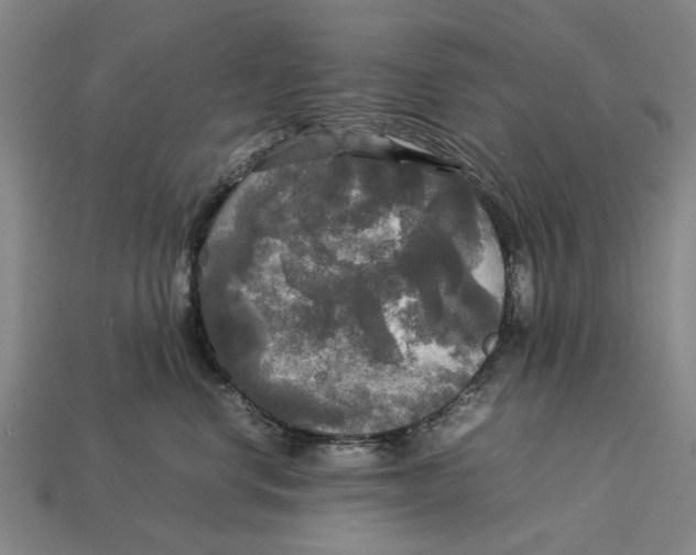 X0000113070668200909250930