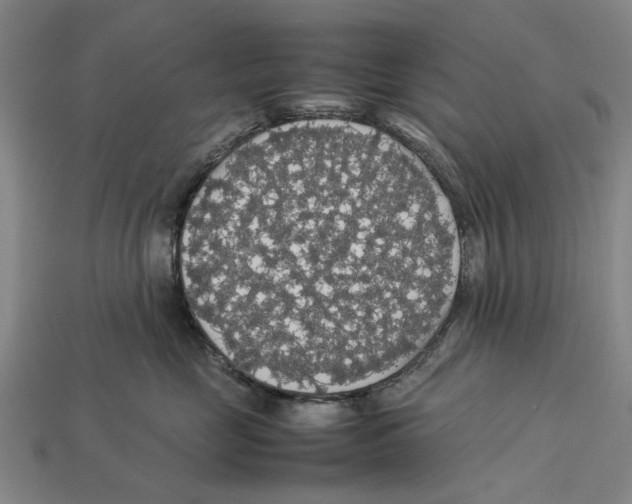 X0000113070669200909250930