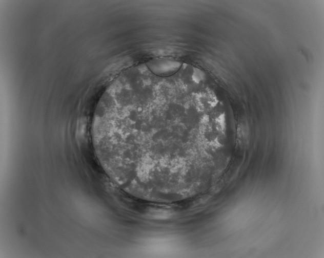 X0000113070671200909250930