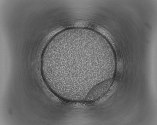 X0000113070673200909250929