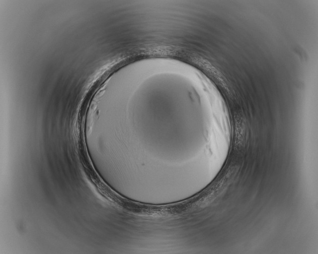 X0000113070674200909250929