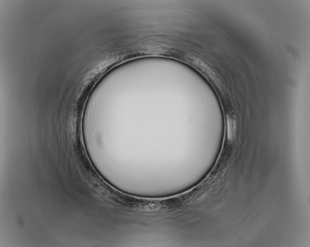 X0000113070675200909250929