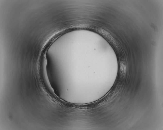 X0000113070676200909250929