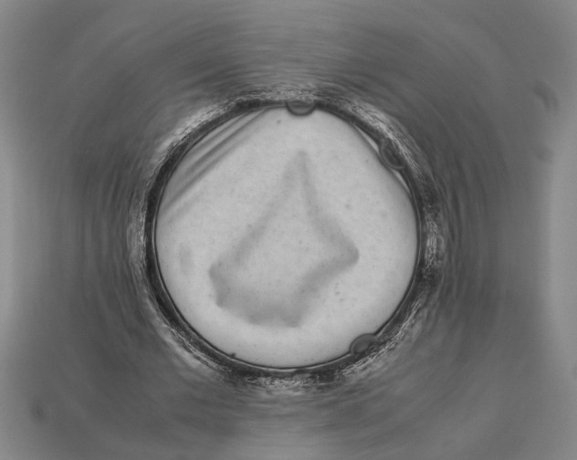 X0000113070677200909250929