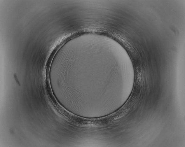 X0000113070678200909250929