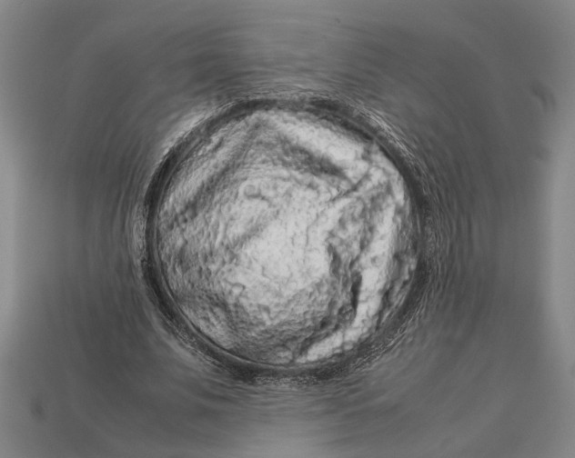 X0000113070679200909250929