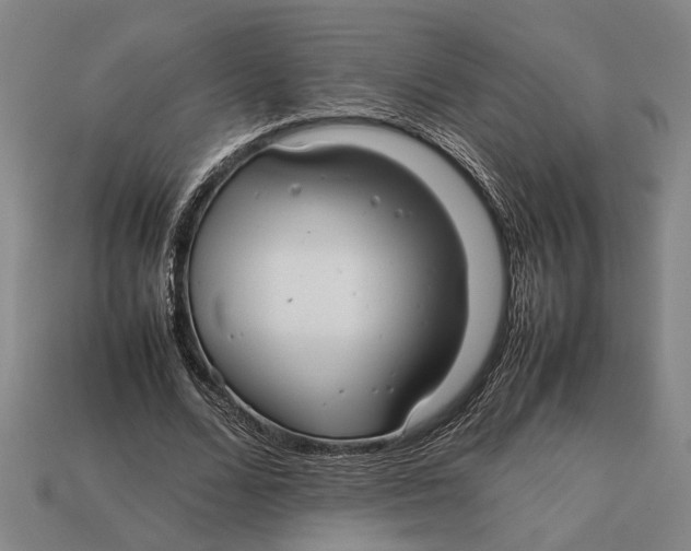 X0000113070680200909250929