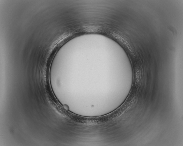 X0000113070682200909250929