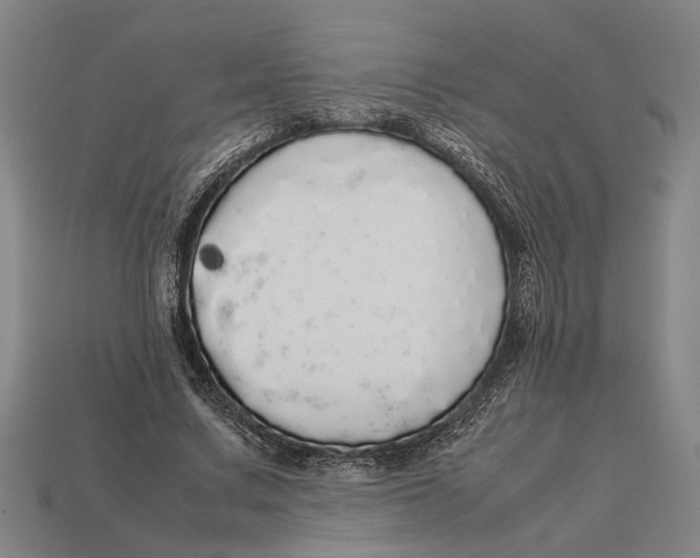 X0000113070683200909250929