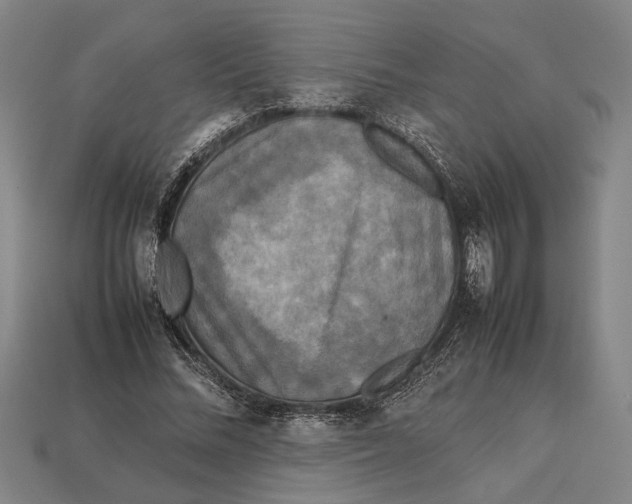 X0000113070684200909250929