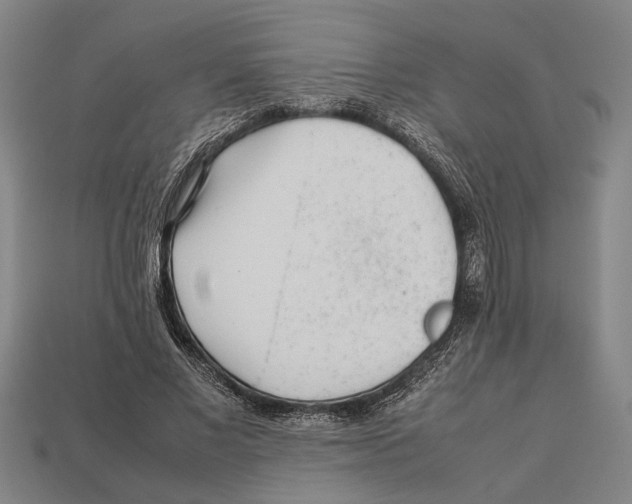 X0000113070685200909250929