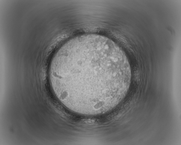 X0000113070687200909250929