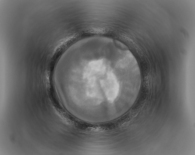 X0000113070688200909250929
