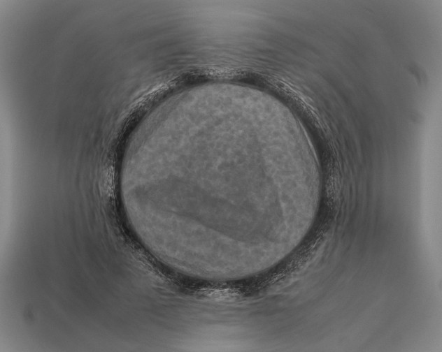 X0000113070689200909250929