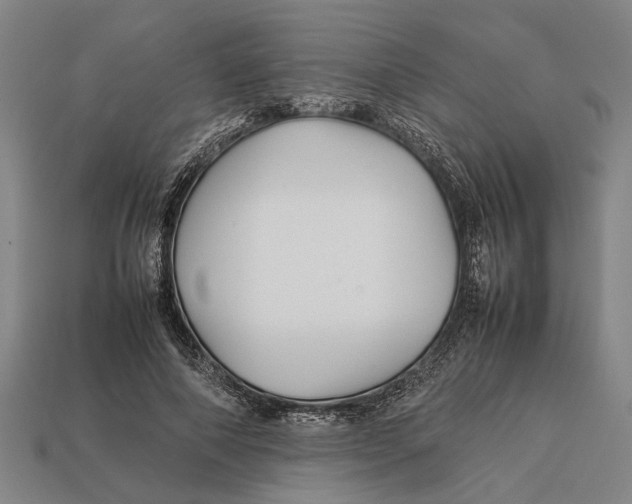 X0000113070690200909250929