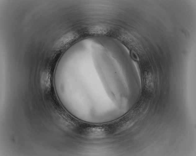 X0000113070692200909250929