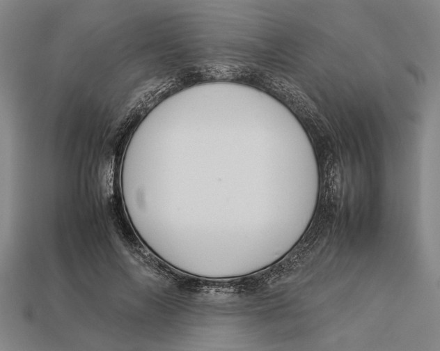 X0000113070694200909250929