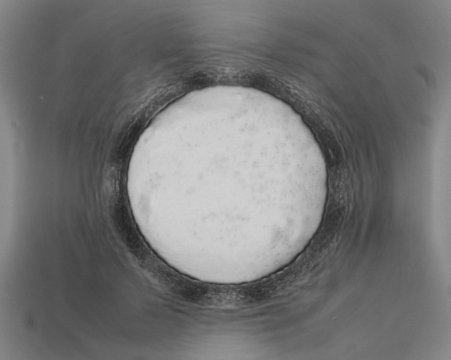 X0000113070695200909250929