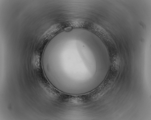 X0000113070696200909250929