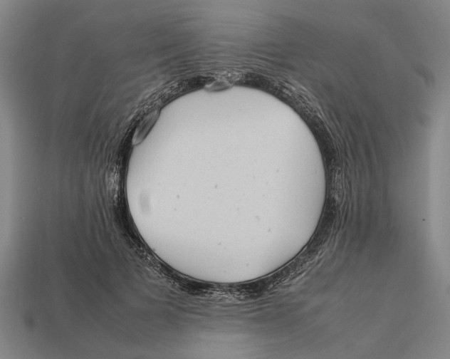 X0000113070697200909250929