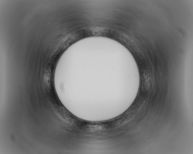 X0000113070698200909250929