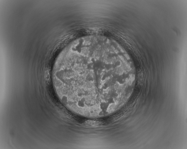 X0000113070699200909250929