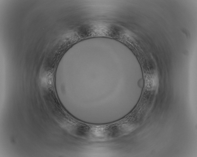 X0000113070701200909250929