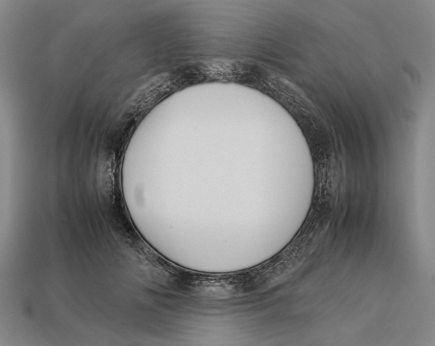 X0000113070702200909250929