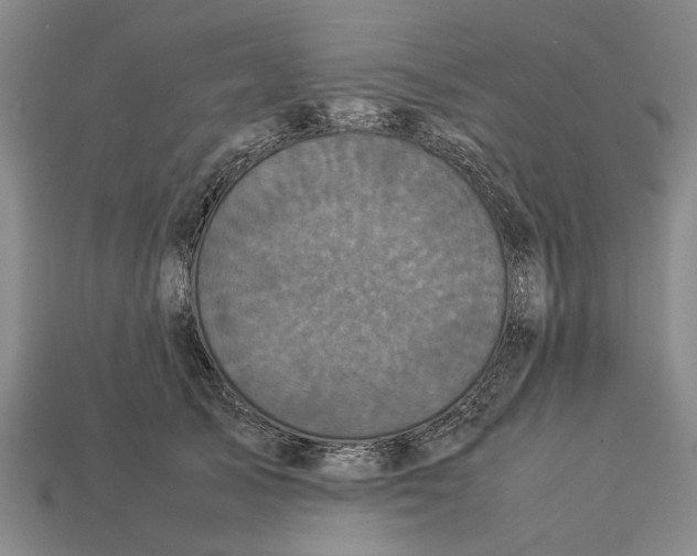 X0000113070705200909250929