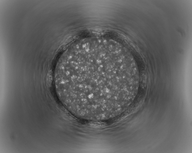 X0000113070707200909250929