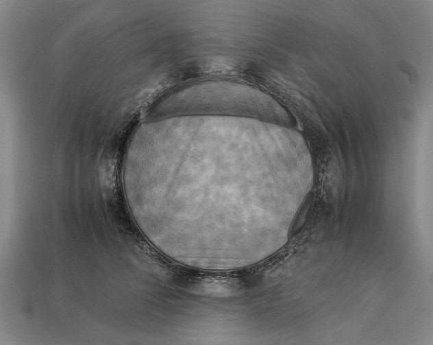 X0000113070708200909250929