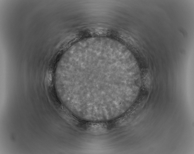 X0000113070709200909250929