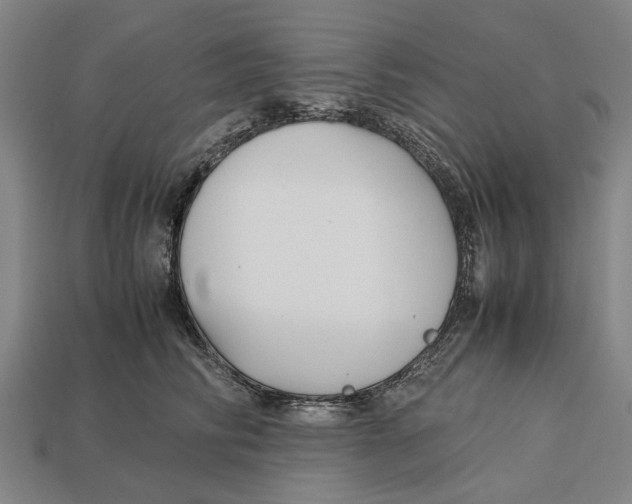 X0000113070710200909250929