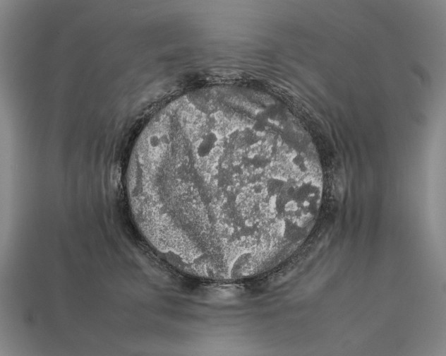 X0000113070711200909250929