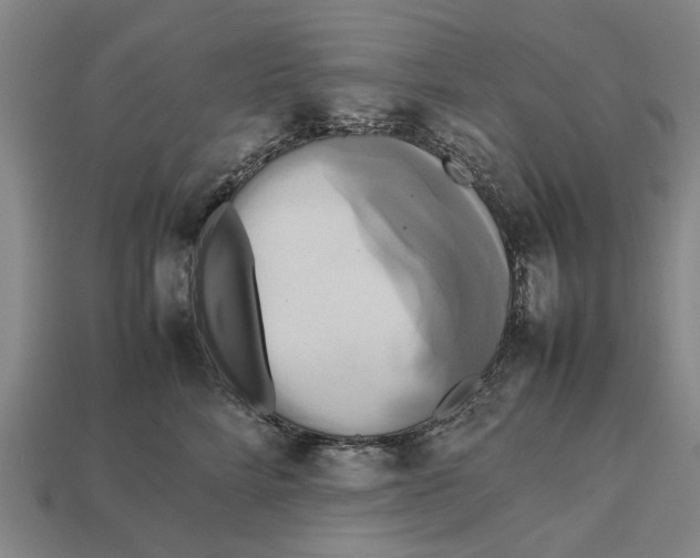 X0000113070712200909250929