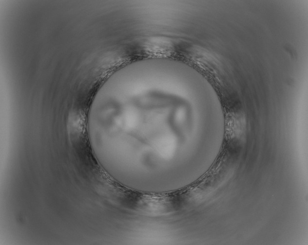 X0000113070713200909250929