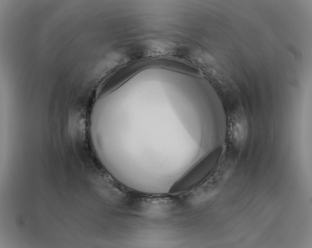 X0000113070716200909250929