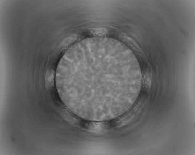 X0000113070717200909250929