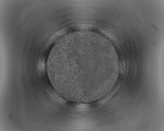 X0000113070718200909250929